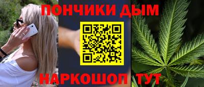 Альфа ПВП Можга