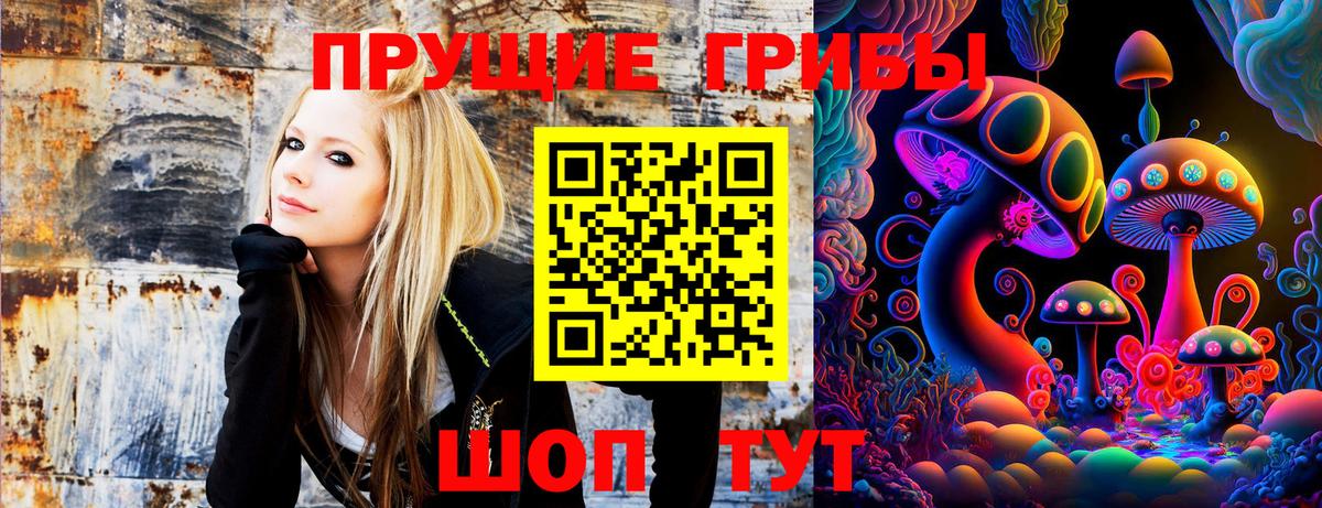 Псилоцибиновые грибы мицелий Уварово
